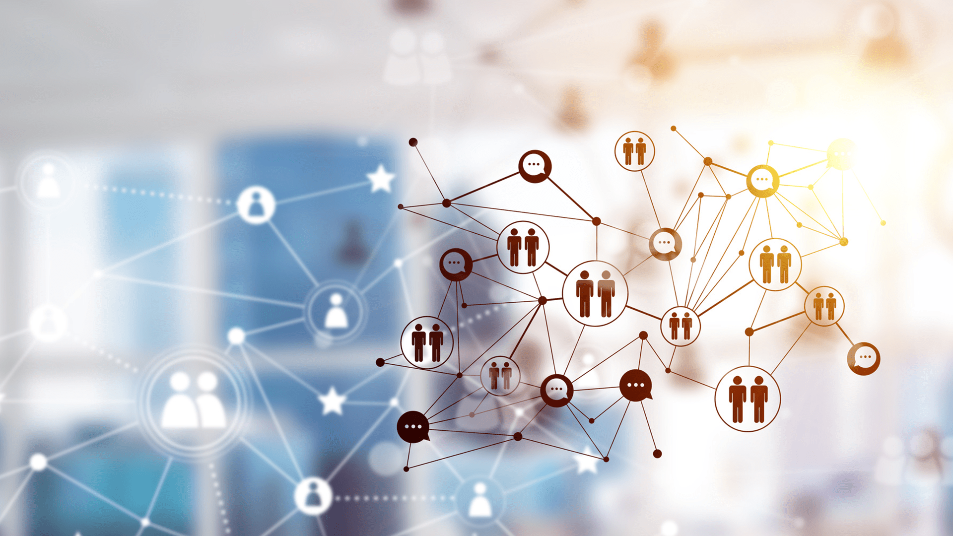 The International Profiler